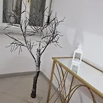 Al Bouganville Casa