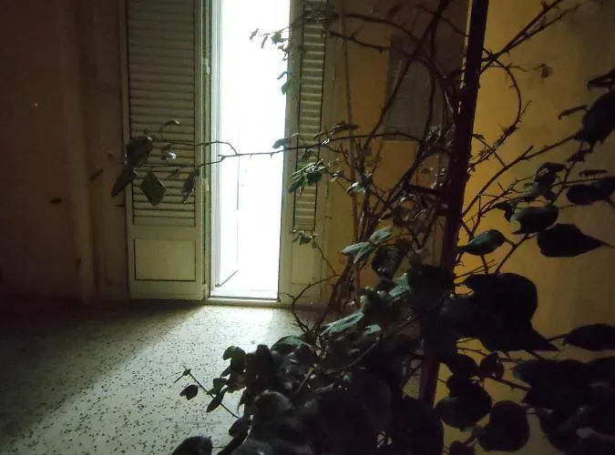 Casa de Férias Al Bouganville Casa